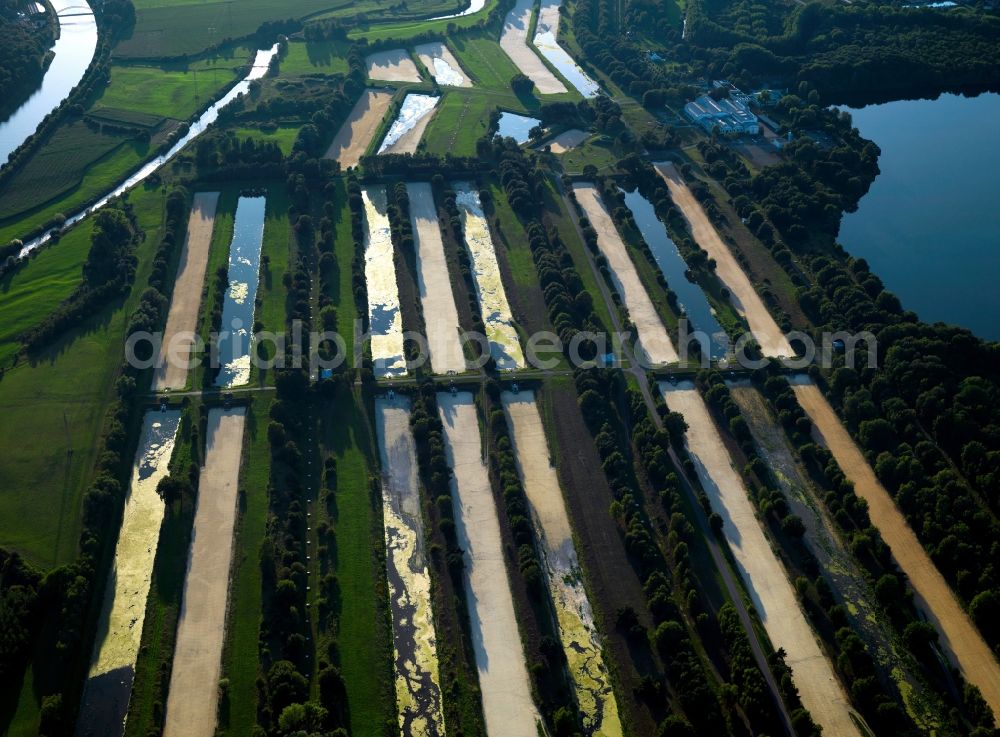 Aerial photograph Haltern am See - Filtering pools in Haltern am See in the state of North Rhine-Westphalia. The 26 infiltration pools - in which the sun, clouds and sky are reflected - are located in the East of Haltern between the Wesel-Datteln-Kanal and the barrier lake of Haltern. They are part of the water works of Haltern which provides drinking water to the Northern Ruhr region. It is run by Gelsenwasser AG company