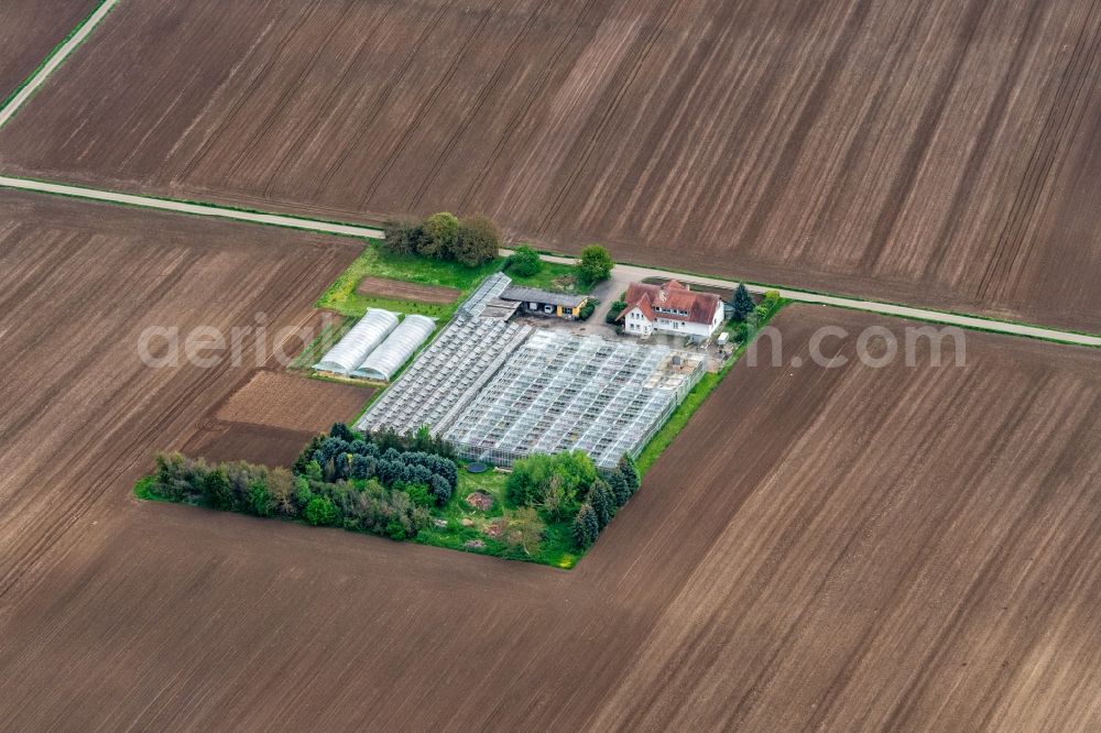 Riegel am Kaiserstuhl from above - Company grounds and facilities of Gaertnerei Stefan Niemann in Riegel am Kaiserstuhl in the state Baden-Wurttemberg, Germany