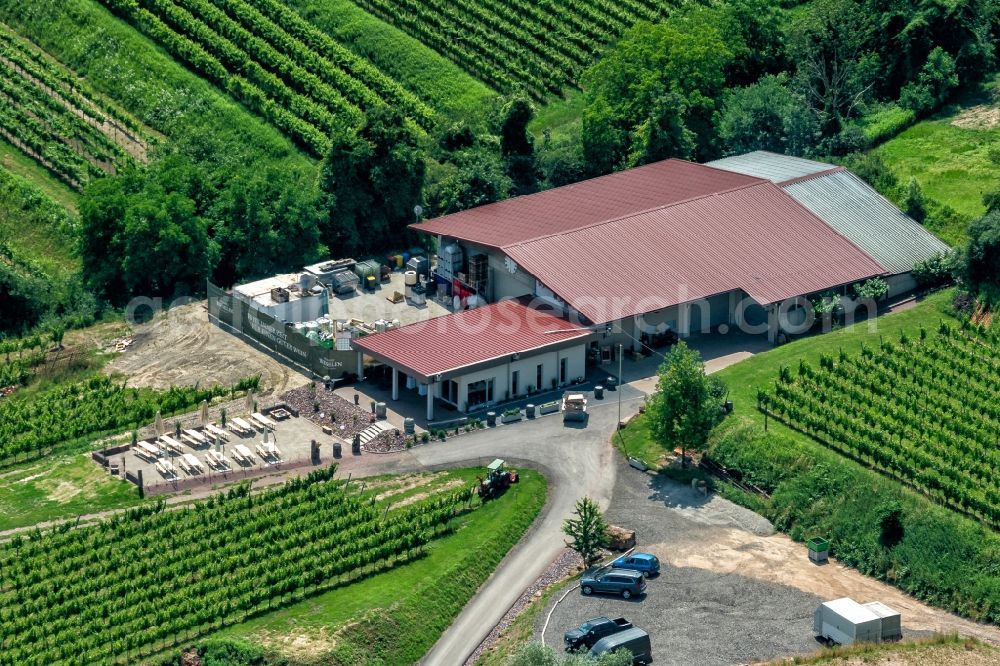 Ettenheim from the bird's eye view: Company grounds and facilities of Weingut Andreas Bieselin in Ettenheim in the state Baden-Wurttemberg, Germany