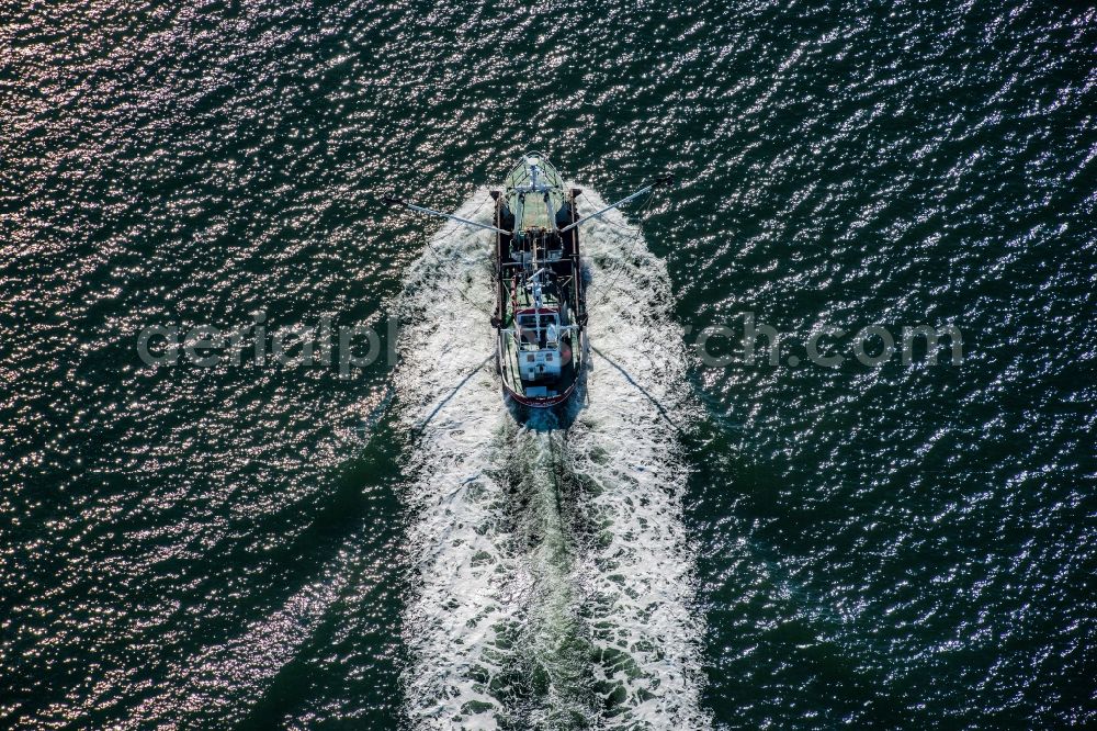 Sankt Peter-Ording from the bird's eye view: Fishing boat in front of the island of Trischen near Friedrichskoog in Schleswig-Holstein