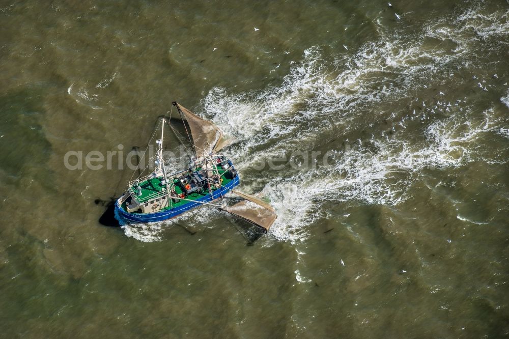 Aerial image Sankt Peter-Ording - Fishing boat in front of the island of Trischen near Friedrichskoog in Schleswig-Holstein