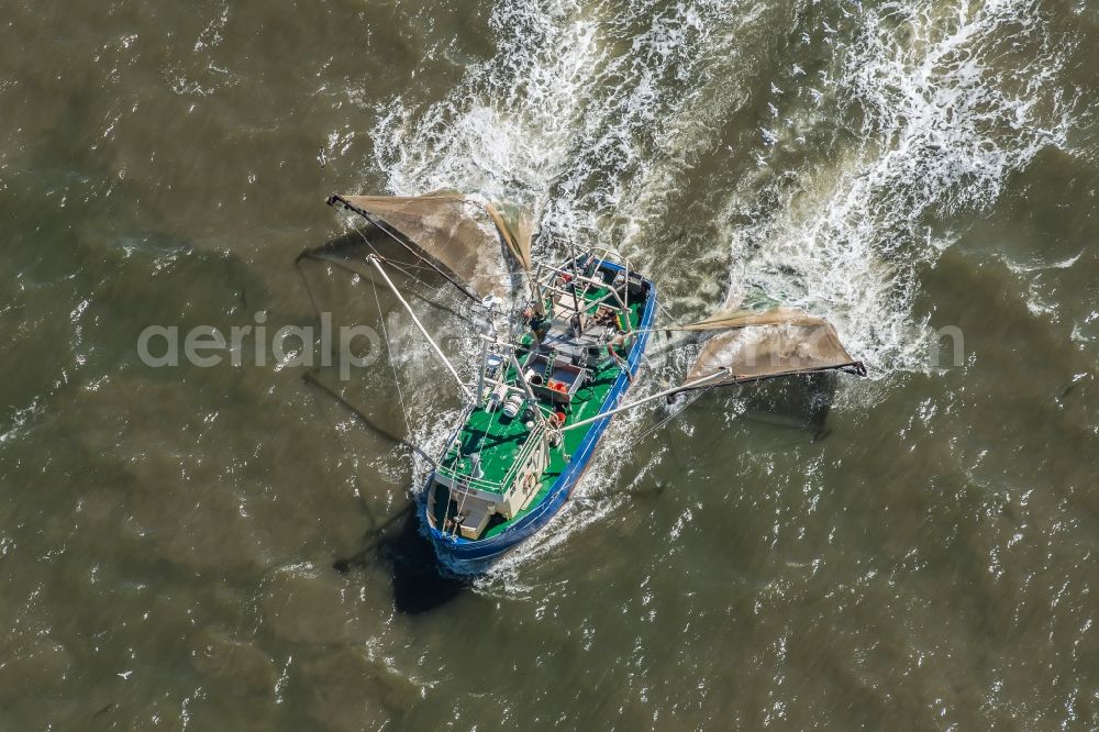 Aerial photograph Sankt Peter-Ording - Fishing boat in front of the island of Trischen near Friedrichskoog in Schleswig-Holstein