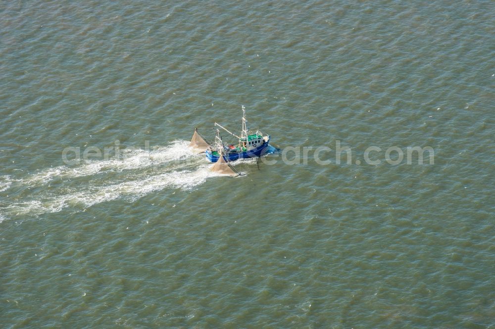 Sankt Peter-Ording from above - Fishing boat in front of the island of Trischen near Friedrichskoog in Schleswig-Holstein