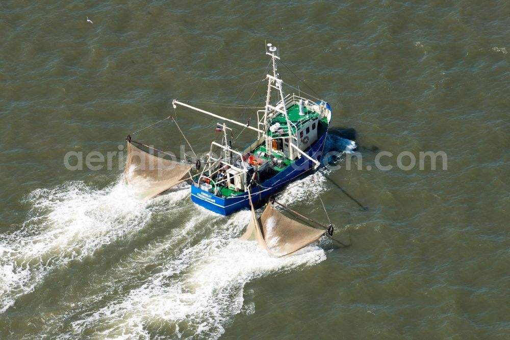 Sankt Peter-Ording from the bird's eye view: Fishing boat in front of the island of Trischen near Friedrichskoog in Schleswig-Holstein