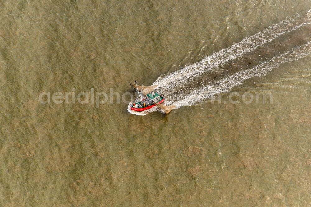 Aerial photograph Sankt Peter-Ording - Fishing boat in front of the island of Trischen near Friedrichskoog in Schleswig-Holstein