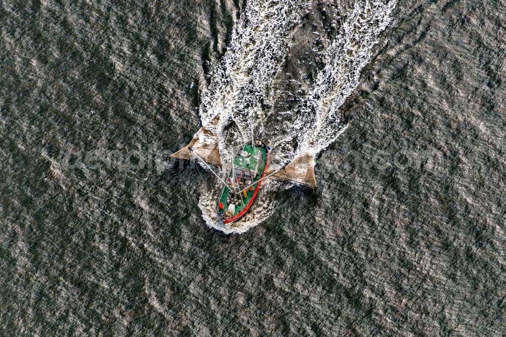 Sankt Peter-Ording from above - Fishing boat in front of the island of Trischen near Friedrichskoog in Schleswig-Holstein