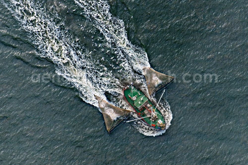 Sankt Peter-Ording from the bird's eye view: Fishing boat in front of the island of Trischen near Friedrichskoog in Schleswig-Holstein