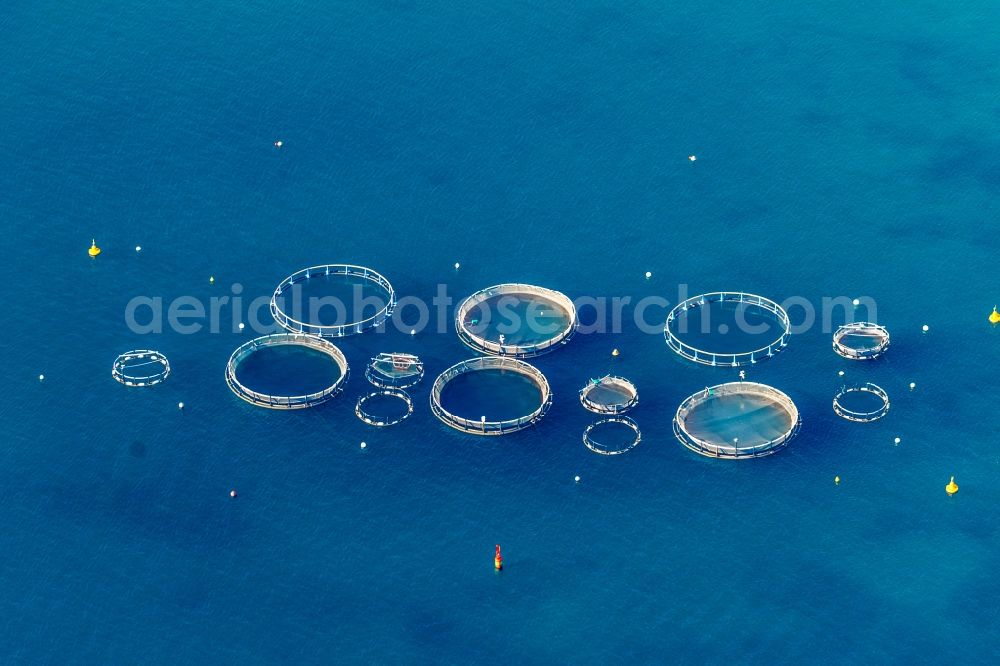 Aerial photograph Andratx - Industrial fish farming in the district Port Andfratx in Andratx in Balearic Islands, Mallorca, Spain