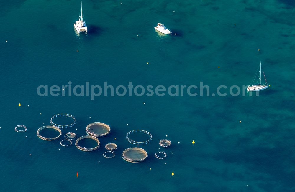 Aerial image Andratx - Industrial fish farming in the district Port Andfratx in Andratx in Balearic Islands, Mallorca, Spain