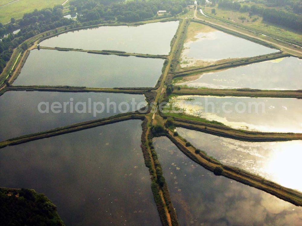 Aerial photograph Lübben (Brandenburg) - 10.09.2005 Lübben Fischteiche Lubolz bei Lübben