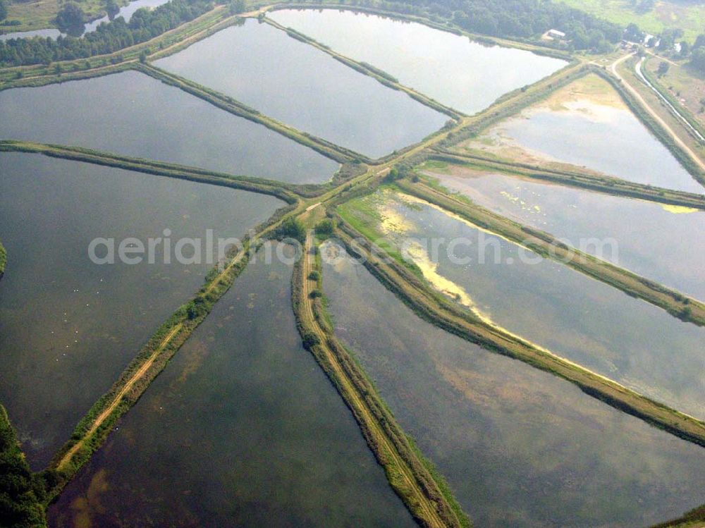 Lübben (Brandenburg) from above - 10.09.2005 Lübben Fischteiche Lubolz bei Lübben