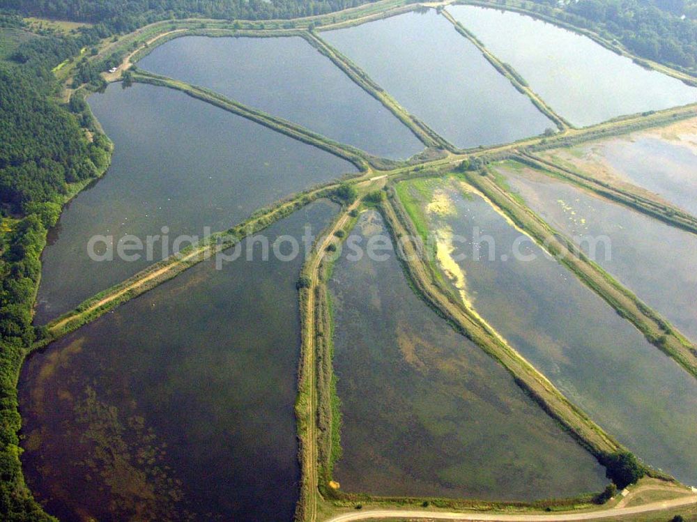 Lübben (Brandenburg) from the bird's eye view: 10.09.2005 Lübben Fischteiche Lubolz bei Lübben