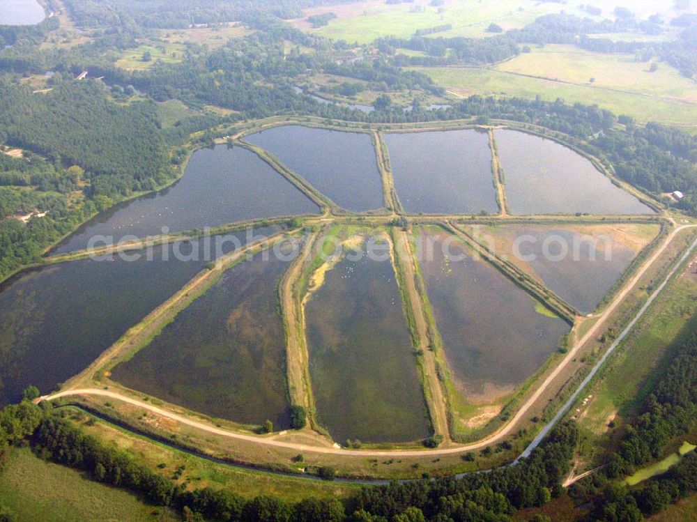 Aerial image Lübben (Brandenburg) - 10.09.2005 Lübben Fischteiche Lubolz bei Lübben