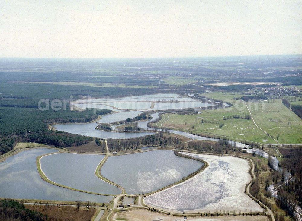 südöstlich von Brand / Brandenburg from above - Fischteiche südöstlich von Brand (Klasdorf) in Brandenburg.