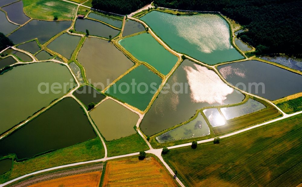 Aerial photograph Uehlfeld - Fish pond and meres in Uehlfeld in the state of Bavaria. There are multiple ponds of different sizes in the region of Aischgrund. Most of them are used as fish farms and for fishing - for example for carps. The colourful waters reflect clouds, sky and sun