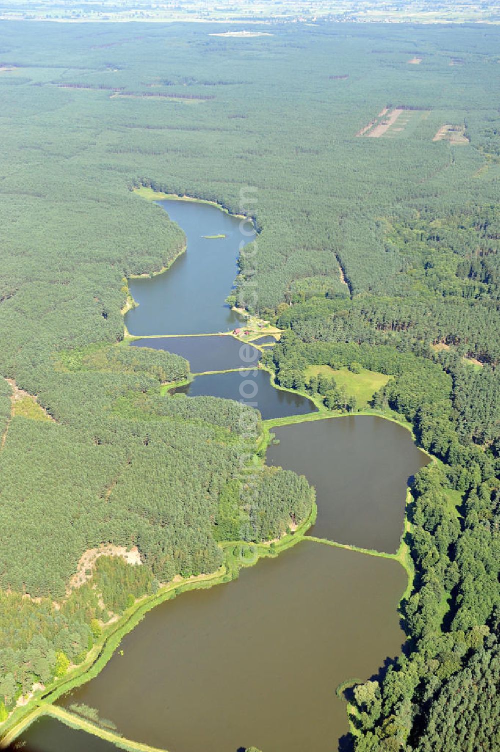 ZIELENZIG / SULECIN from the bird's eye view: View of a fish hatchery in Zielenzig / Trzebow in the Province of Lebus