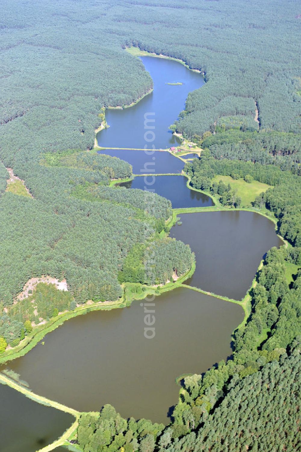 Aerial image ZIELENZIG / SULECIN - View of a fish hatchery in Zielenzig / Trzebow in the Province of Lebus