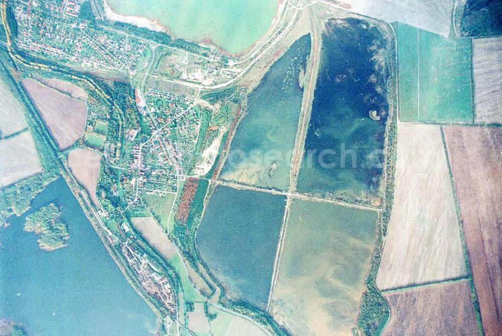 Wittichenau / Sachsen from the bird's eye view: Fischzuchteichanlagen bei Lohsa / Sachsen.