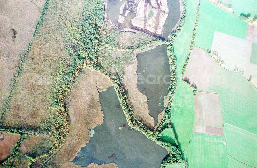 Aerial photograph Wittichenau / Sachsen - Fischzuchteichanlagen bei Wittichenau / Sachsen.