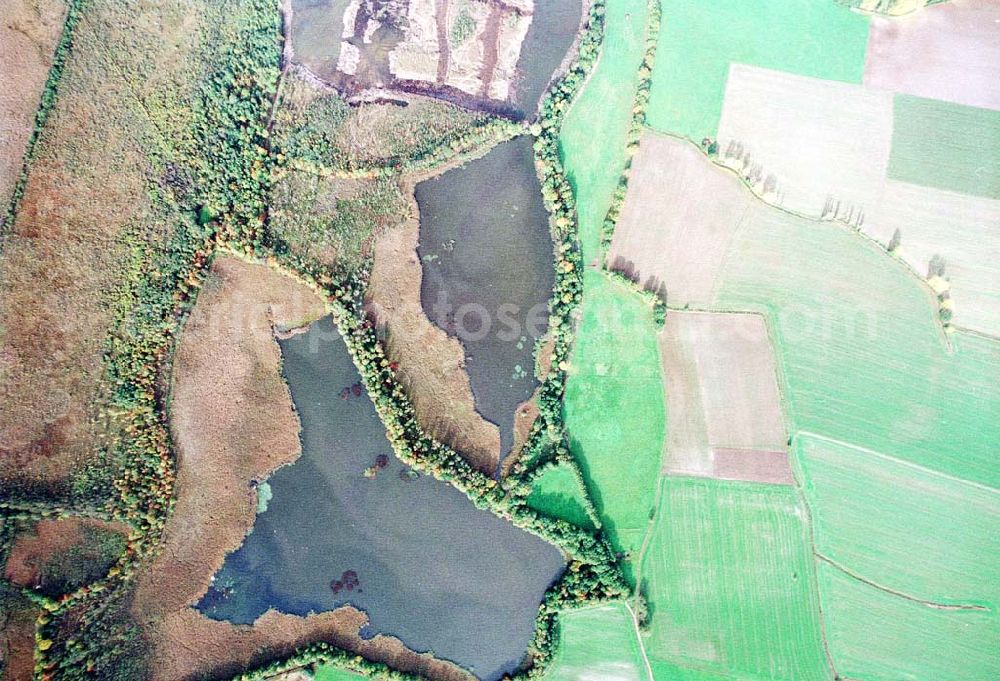 Aerial photograph Wittichenau / Sachsen - Fischzuchteichanlagen bei Wittichenau / Sachsen.