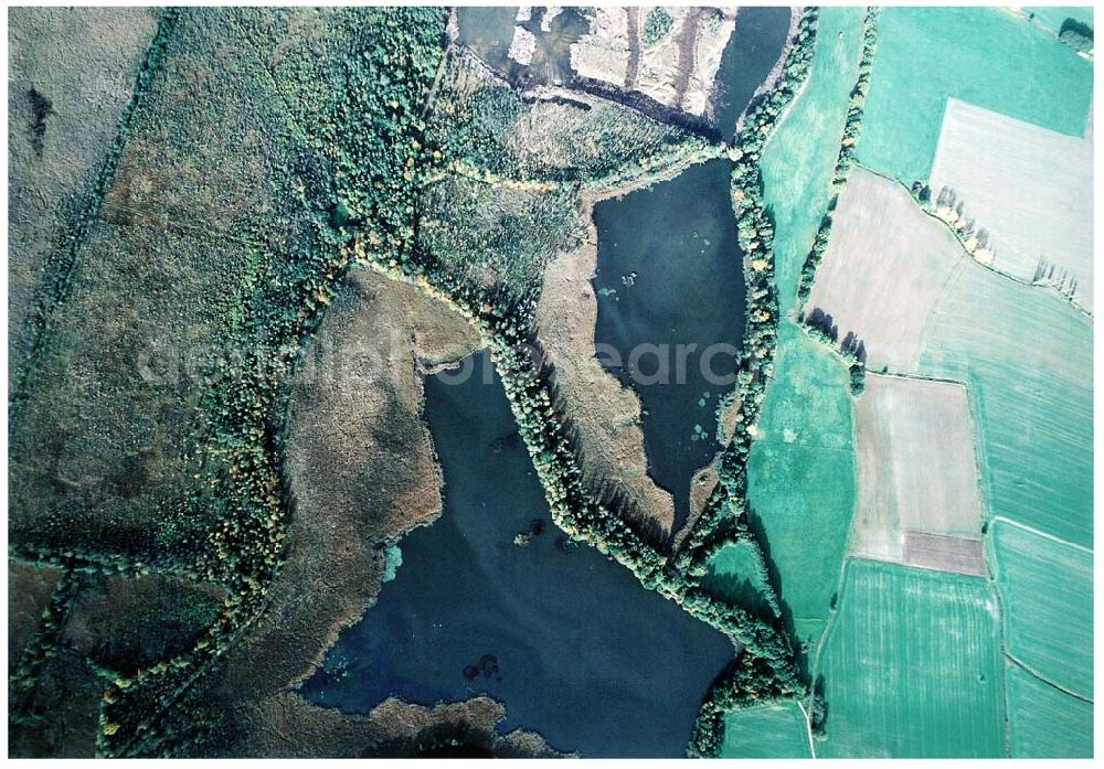 Wittichenau / Sachsen from above - Fischzuchteichanlagen bei Wittichenau / Sachsen.