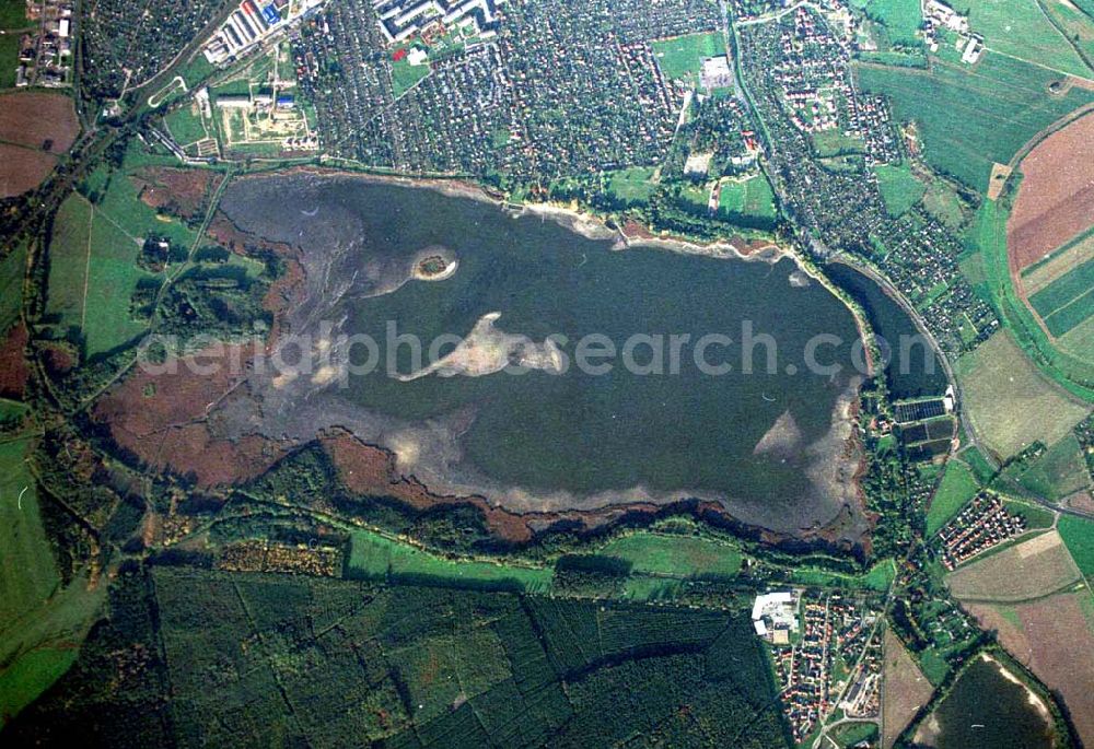 Torgau / Sachsen from above - Fischzuchteichanlagen auf dem Großen Teich in Torgau / Sachsen (Ausschnitt mit 35mm Optik).