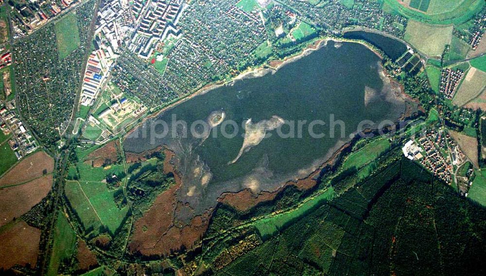 Aerial photograph Torgau / Sachsen - Fischzuchteichanlagen auf dem Großen Teich in Torgau / Sachsen (Ausschnitt mit 35mm Optik).