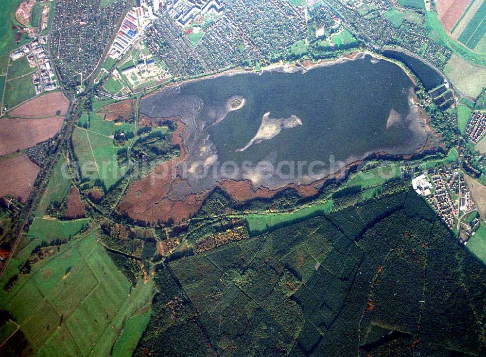 Torgau / Sachsen from the bird's eye view: Fischzuchteichanlagen auf dem Großen Teich in Torgau / Sachsen (Ausschnitt mit 35mm Optik).