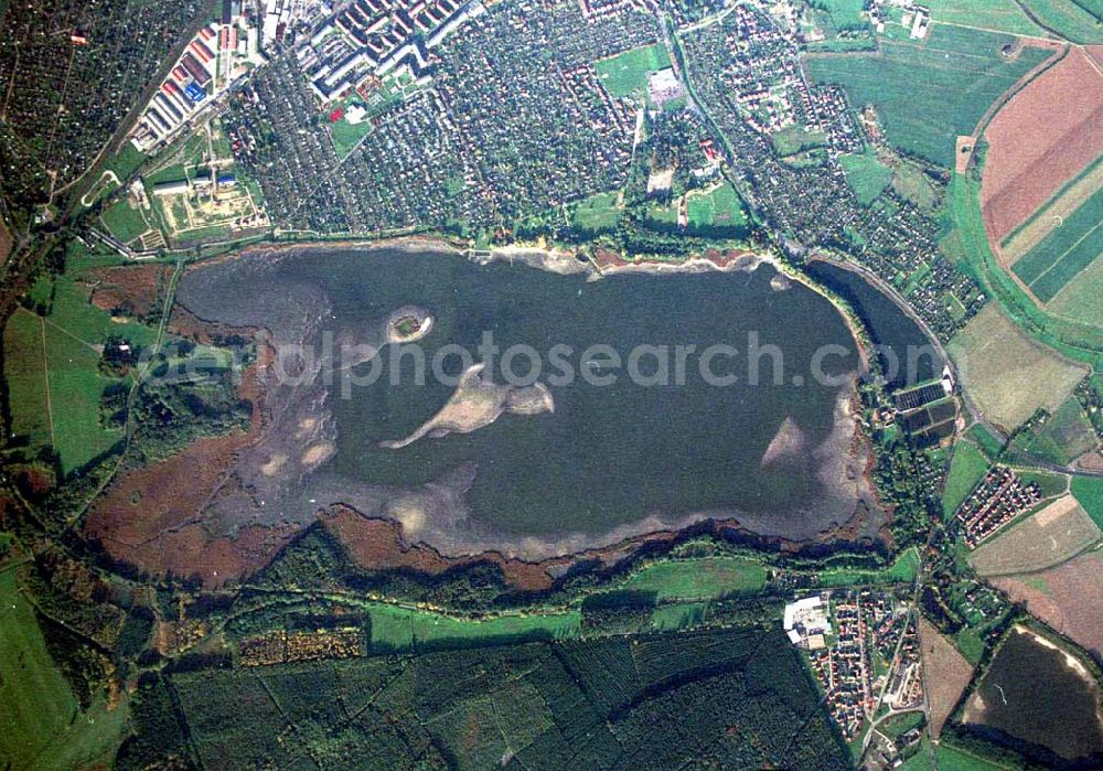 Aerial photograph Torgau / Sachsen - Fischzuchteichanlagen auf dem Großen Teich in Torgau / Sachsen (Ausschnitt mit 35mm Optik aus 9800 ft MSL).