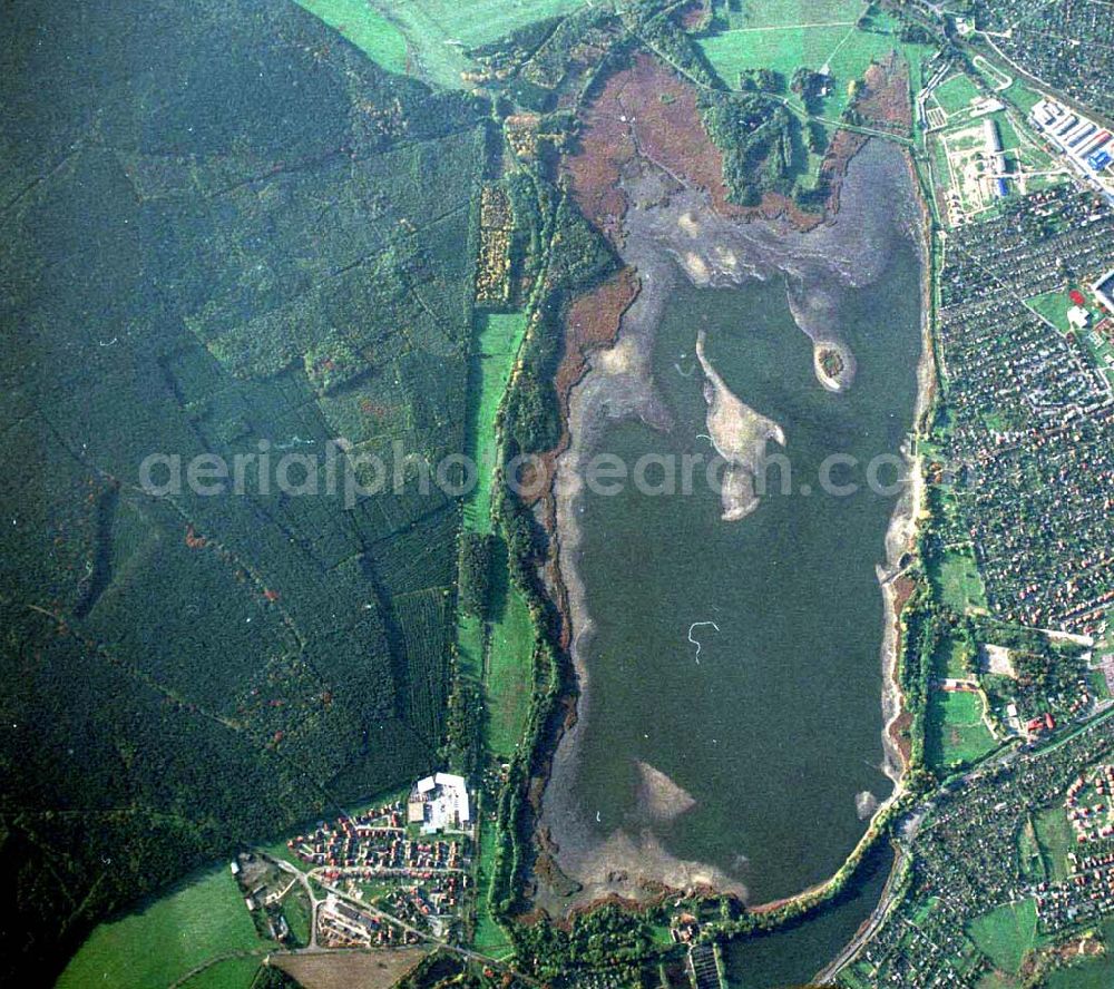 Aerial photograph Torgau / Sachsen - Fischzuchteichanlagen auf dem Großen Teich in Torgau / Sachsen (Ausschnitt mit 35mm Optik aus 9800 ft MSL).