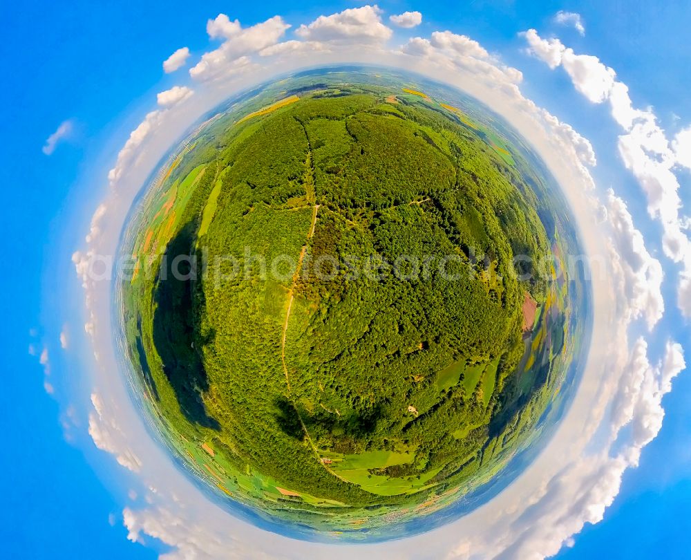 Nieheim from the bird's eye view: Fisheye perspective forest areas in Hinnenburger Forst on street Halit in Nieheim in the state North Rhine-Westphalia, Germany