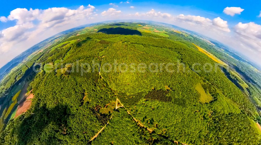 Aerial photograph Nieheim - Fisheye perspective forest areas in Hinnenburger Forst on street Halit in Nieheim in the state North Rhine-Westphalia, Germany