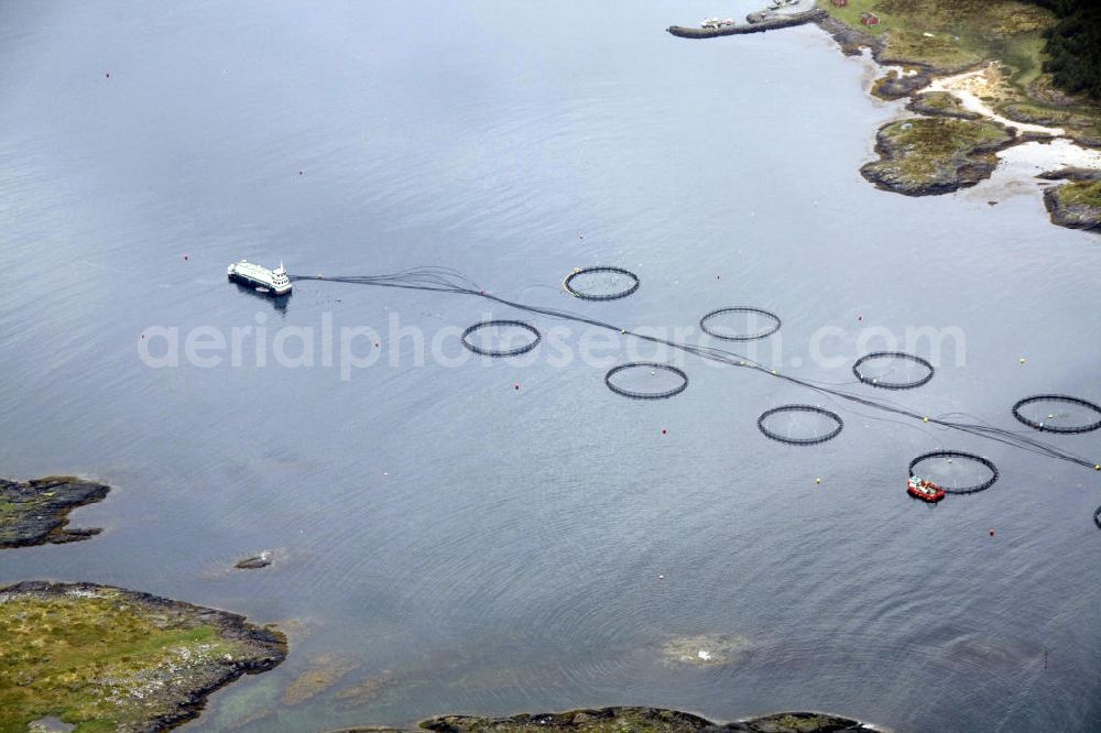 Aerial image Velfjorden - Aquakultur in Netzgehegen zur Aufzucht von Lachsen. Fish farm of salmon.