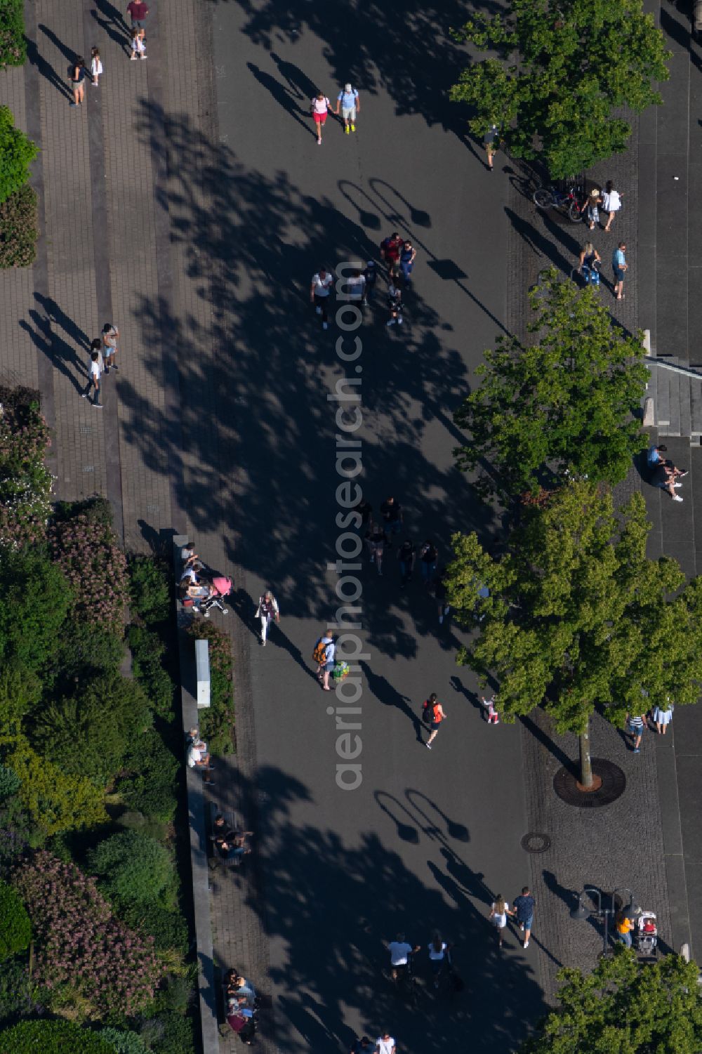 Friedrichshafen from above - Promenade Uferstrasse in Friedrichshafen on Lake Constance in the state Baden-Wuerttemberg, Germany