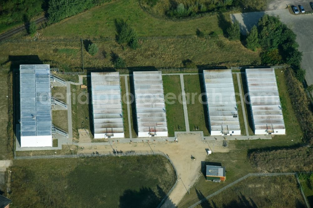 Lüneburg from above - Container settlement as temporary shelter and reception center for refugees Haecklinger Weg in Lueneburg in the state Lower Saxony