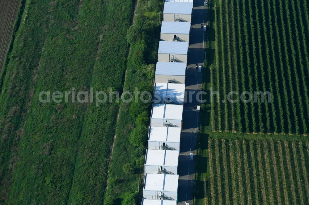 Harburg from above - Container settlement as temporary shelter and reception center for refugees near of Neuer Faehrweg in Harburg in the state Hamburg, Germany