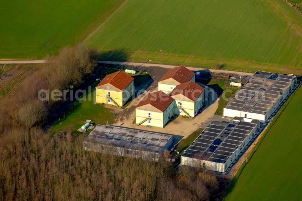 Isselburg from above - Refugee - buildings Am Wasserwerk in Isselburg in the state North Rhine-Westphalia