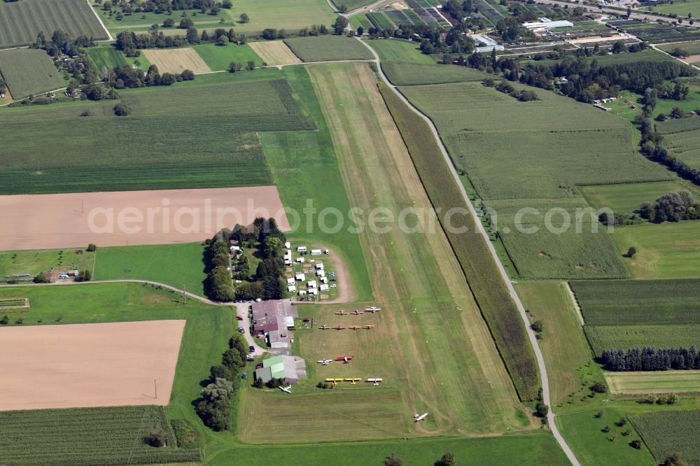 Aerial photograph Rheinfelden (Baden) - Vintage aircraft at the airfield Herten-Rheinfelden in Rheinfelden (Baden) in the state Baden-Wurttemberg, Germany