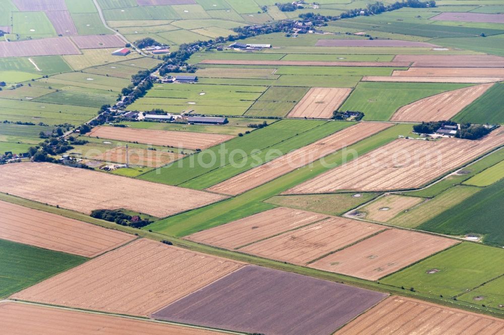 Pellworm from above - Runway with tarmac terrain of airfield Pellworm in Pellworm in the state Schleswig-Holstein