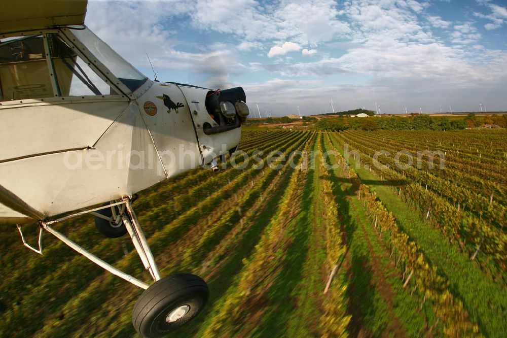 Aerial image Großwarasdorf - Flugzeug / Kleinflugzeug vom Typ Piper J-3 Cup mit der Kennung OE-ABE fliegt über Weinreben nahe dem Flugplatz Großwarasdorf in Österreich. Small Aircraft flies over grapevines near by the Grosswarasdorf airfield in Austria.