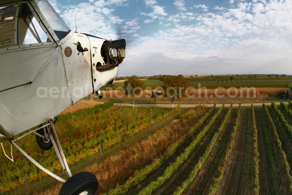 Aerial photograph Großwarasdorf - Flugzeug / Kleinflugzeug vom Typ Piper J-3 Cup mit der Kennung OE-ABE fliegt über Weinreben nahe dem Flugplatz Großwarasdorf in Österreich. Small Aircraft flies over grapevines near by the Grosswarasdorf airfield in Austria.