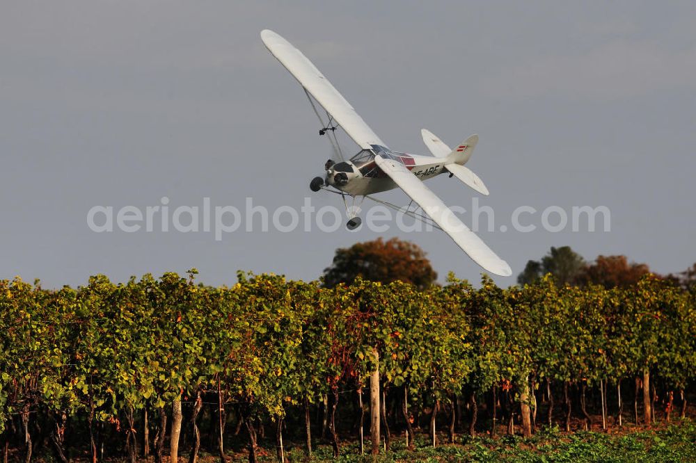 Großwarasdorf from above - Flugzeug / Kleinflugzeug vom Typ Piper J-3 Cup mit der Kennung OE-ABE fliegt über Weinreben nahe dem Flugplatz Großwarasdorf in Österreich. Small Aircraft flies over grapevines near by the Grosswarasdorf airfield in Austria.