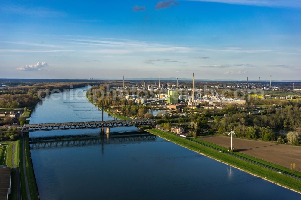 Aerial image Karlsruhe - River - bridge construction on the banks of the Rhine in Karlsruhe in the state Baden-Wuerttemberg