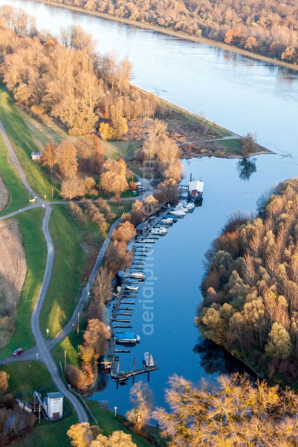 Neuburg am Rhein from the bird's eye view: River estuary of the Lauter into the Rhine in Neuburg am Rhein in the state Rhineland-Palatinate, Germany