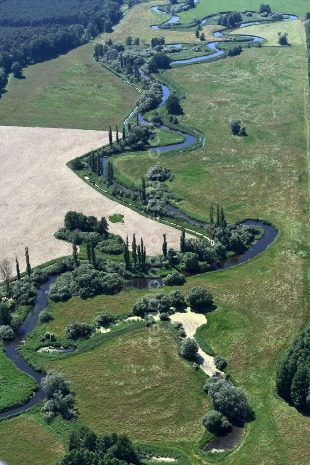 Eldena from the bird's eye view: River course of the Old Edle near Gueritz / Eldena in the state Mecklenburg - Western Pomerania