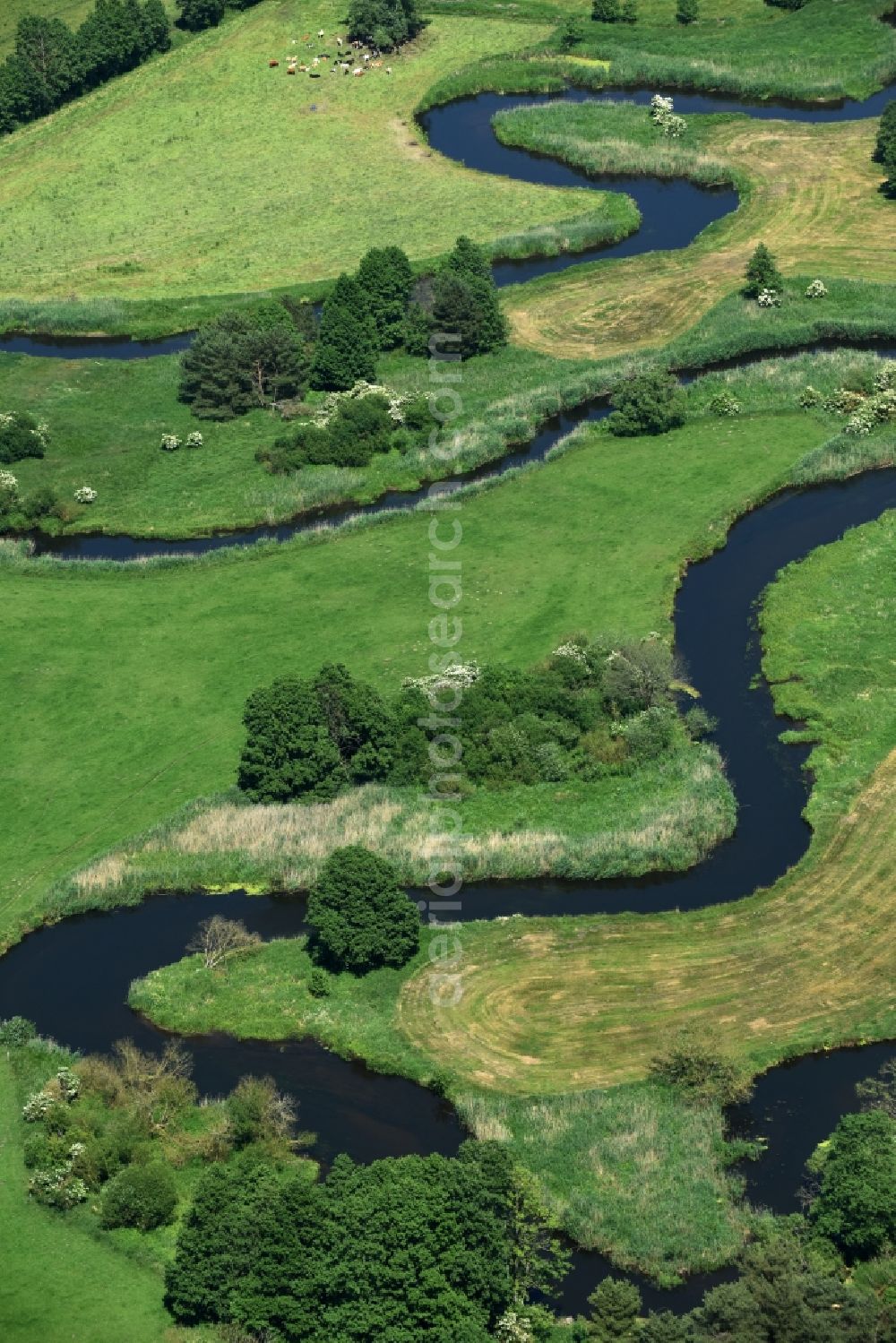 Eldena from the bird's eye view: River course of the Old Edle near Gueritz / Eldena in the state Mecklenburg - Western Pomerania