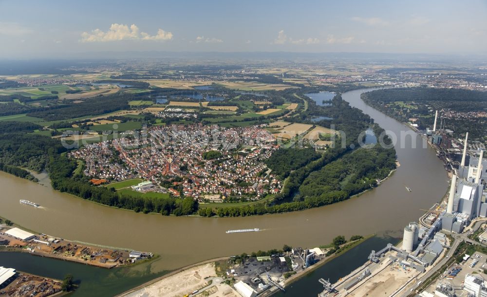 Altrip from the bird's eye view: Course of the river Rhine and bow in Altrip in Rhineland-Palatinate