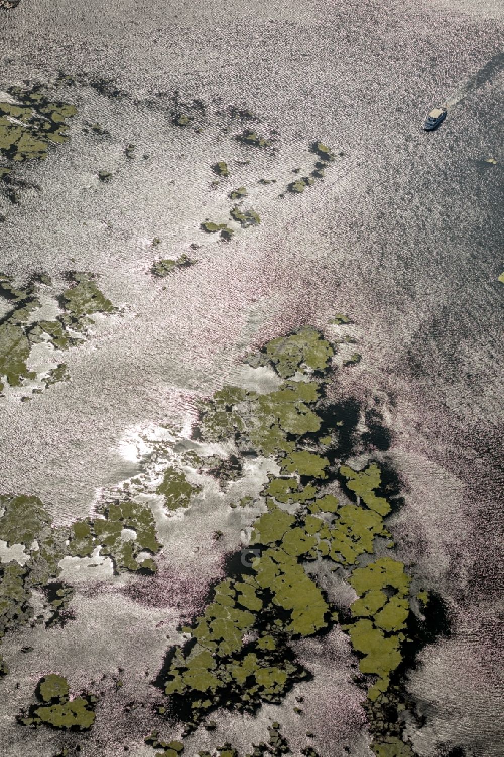 Aerial photograph Wetter (Ruhr) - Riparian zones on the course of the river Ruhr in Wetter (Ruhr) in the state North Rhine-Westphalia, Germany