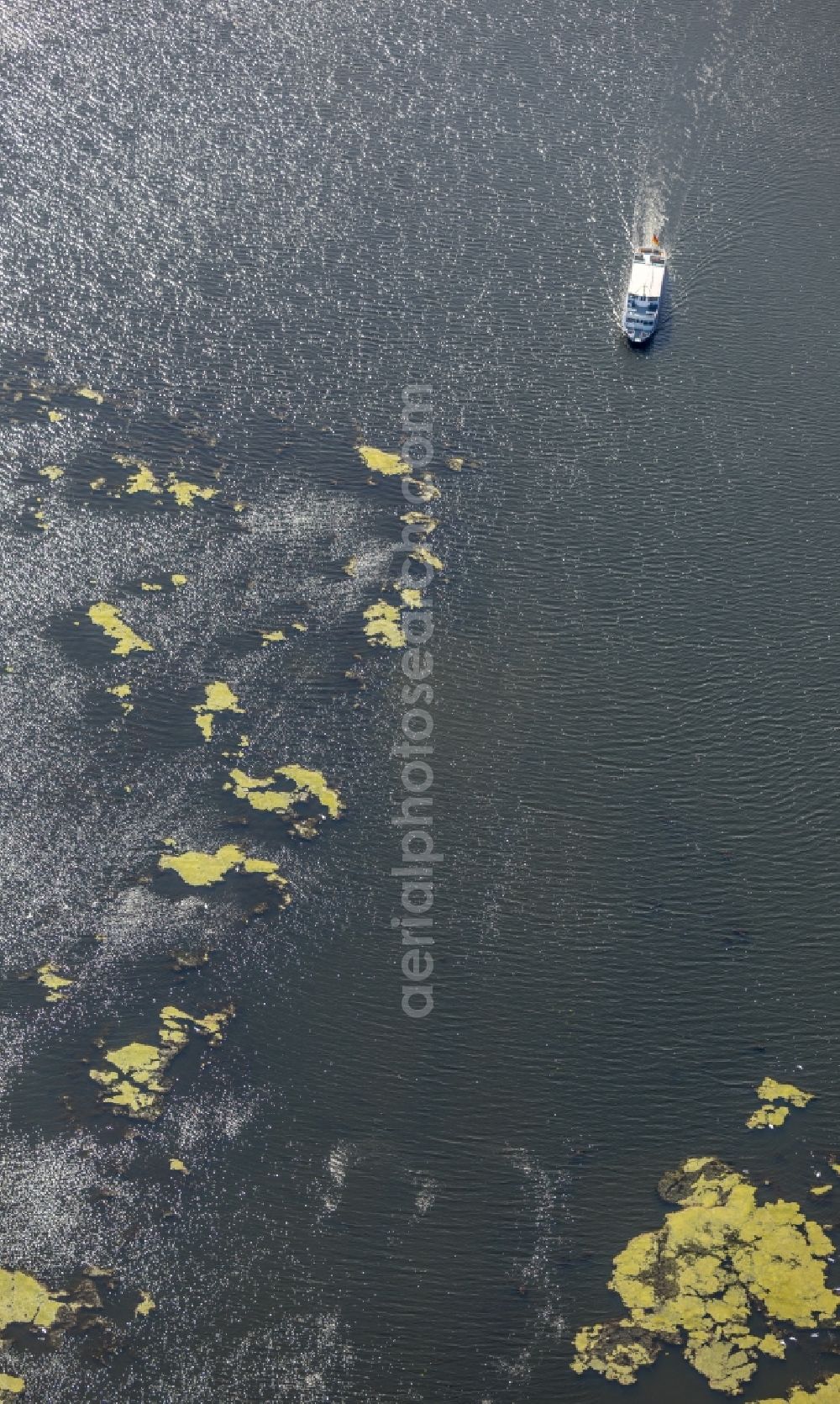 Aerial photograph Wetter (Ruhr) - Riparian zones on the course of the river Ruhr in Wetter (Ruhr) in the state North Rhine-Westphalia, Germany