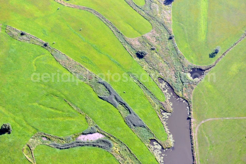 Wittenberg from above - View of flooded meadow of the Elbe in Lutherstadt Wittenberg in Saxony-Anhalt